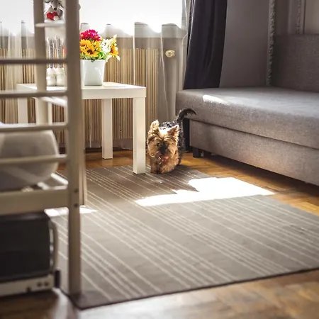 Hostel 4 Friends Krakau