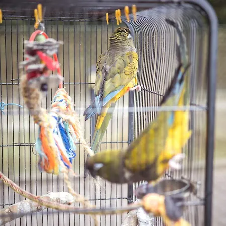 אכסניה 4 Friends קרקוב