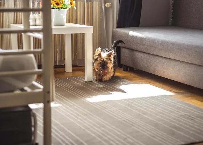 Hostel 4 Friends Krakow