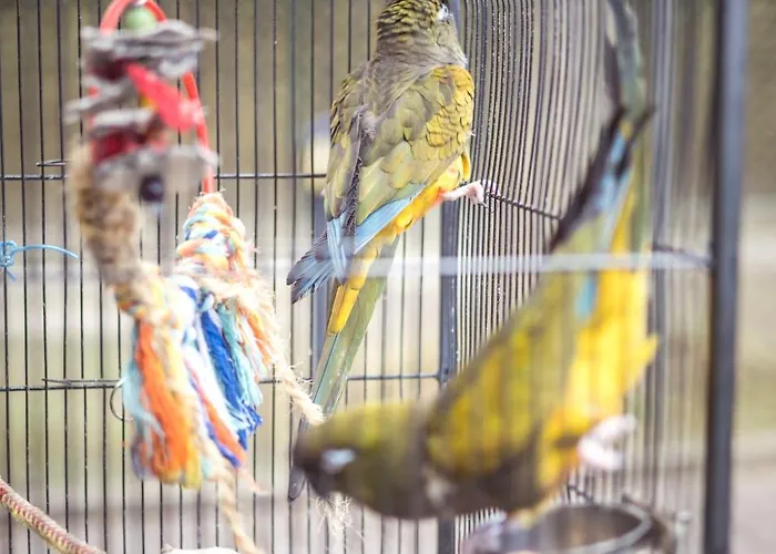 Hostel 4 Friends Krakkó