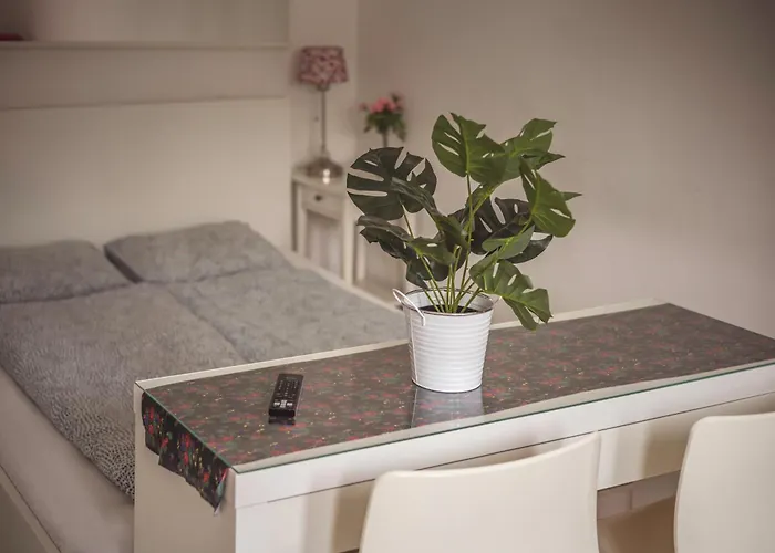 Vandrerhjem 4 Friends Kraków